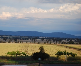 Houlaghans Valley Wines - Winery Find