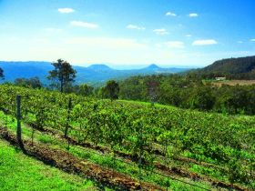 Preston Peak Wines - Winery Find